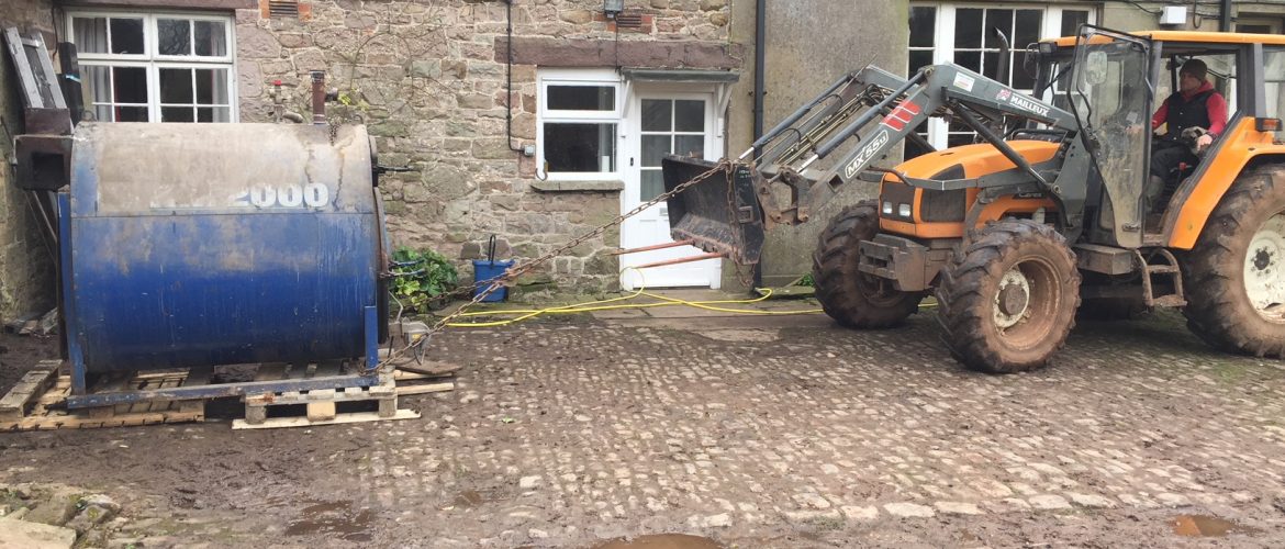 Drag out the dinosaur